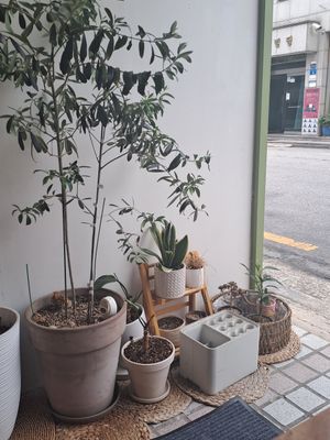  at Rooted 루티드 in Seoul