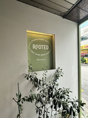   at Rooted 루티드 in Seoul