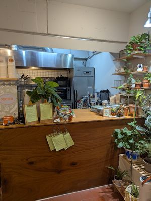  at Rooted 루티드 in Seoul