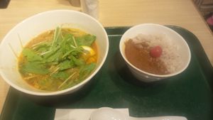 ramen and curry set  - 1200 won at T's Tantan - Tokyo JR Station in Tokyo