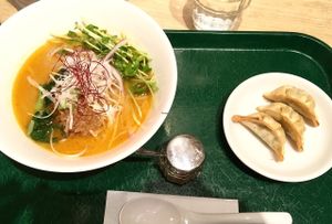 Best ramen and dumplings I've ever had. at T's Tantan - Tokyo JR Station in Tokyo