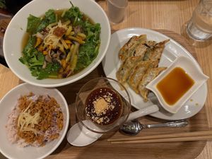 From top left clockwise: miso-koji ramen, veggie gyoza, soy milk yogurt, rice with soy mince meat at T's Tantan - Tokyo JR Station in Tokyo