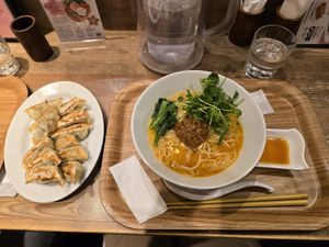 Tantan ramen and gyoza at T's Tantan - Tokyo JR Station in Tokyo