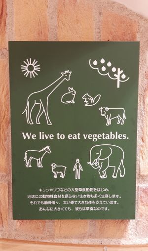  at T's Tantan - Tokyo JR Station in Tokyo