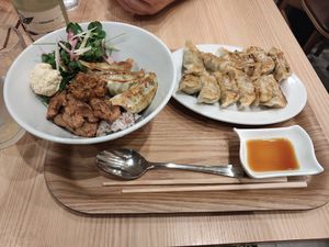 Rice bowl with soy meat & gyoza at T's Tantan - Tokyo JR Station in Tokyo