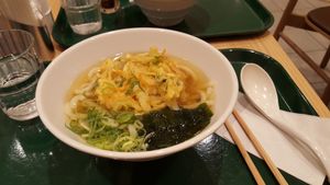 dashi udon and vegetable tempura at T's Tantan - Tokyo JR Station in Tokyo