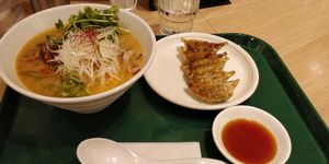 Ramen and gyoza at T's Tantan - Tokyo JR Station in Tokyo
