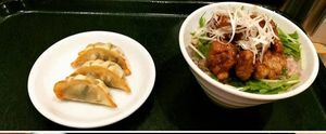Dumplings and soy "meat" with rice at T's Tantan - Tokyo JR Station in Tokyo