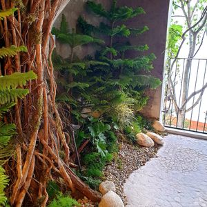  at Lazy Farmers in Seoul