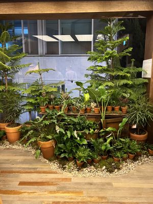   at Lazy Farmers in Seoul