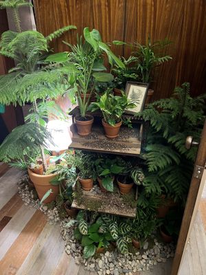   at Lazy Farmers in Seoul