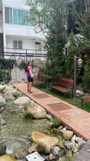 You can smell nice trees on rainy day  at Lazy Farmers in Seoul