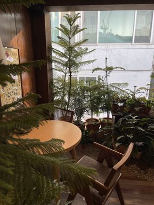 Interior  at Lazy Farmers in Seoul