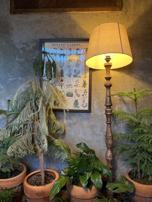 !!  at Lazy Farmers in Seoul