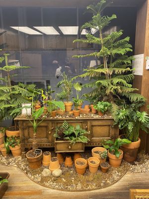 interior  at Lazy Farmers in Seoul