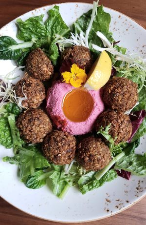 Falafel & Hummus at Lazy Farmers in Seoul