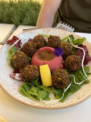 Falafel and hummus   at Lazy Farmers in Seoul