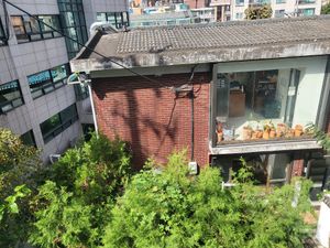  at Lazy Farmers in Seoul