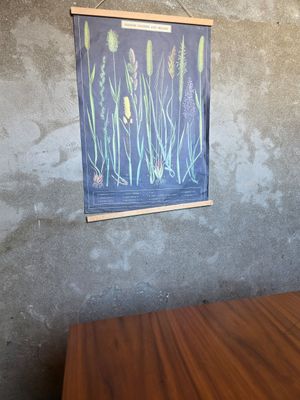  at Lazy Farmers in Seoul