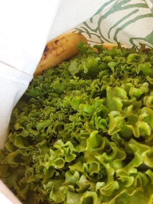 Lechuga y plátanos at Finca Ecologico Lomo del Riego in La Gomera