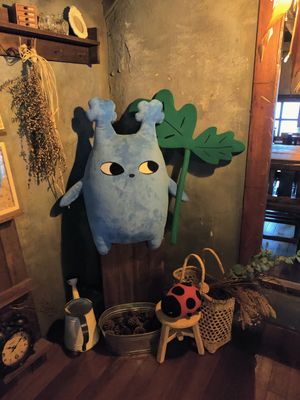  at Dotori 도토리 in Seoul