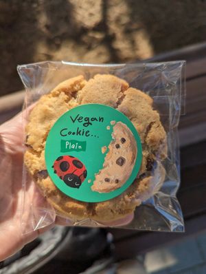 Chocolate chip cookie at Dotori 도토리 in Seoul