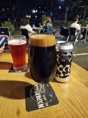 Vegan imperial stout and fruity sour beer at Bagels & Beers in Girona