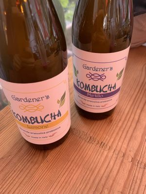 Kombucha studiata da loro   at Bowl Napoli in Naples