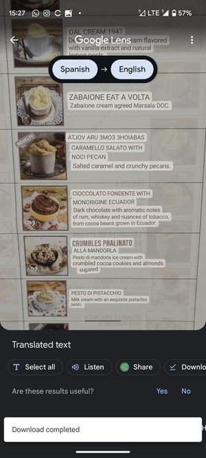 A dark chocolate and an almond praline vegan ice cream options at Gelateria La Romana in Valencia