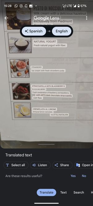 Blackberry and mulberry or blueberry (not sure on the translation) stracciatella vegan ice cream at Gelateria La Romana in Valencia