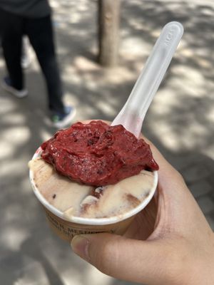   at Gelateria La Romana in Valencia