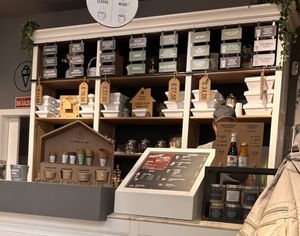 Ice cream selection. And all the cones are vegan too    at Gelateria La Romana in Valencia