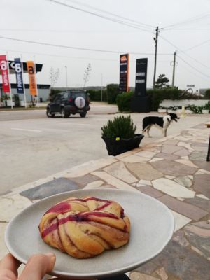 Red Danish at Picnic in Sagres