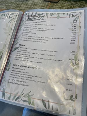 Vegan menu  at Veganissimo in Santorini