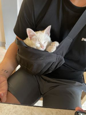   at Thong Dong Vegan Kitchen & Cafe in Lao Cai