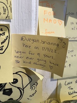   at Thong Dong Vegan Kitchen & Cafe in Lao Cai