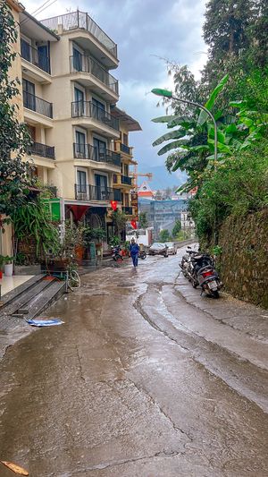   at Thong Dong Vegan Kitchen & Cafe in Lao Cai