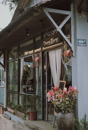  at Thong Dong Vegan Kitchen & Cafe in Lao Cai