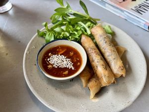 Spring rolls   at Thong Dong Vegan Kitchen & Cafe in Lao Cai