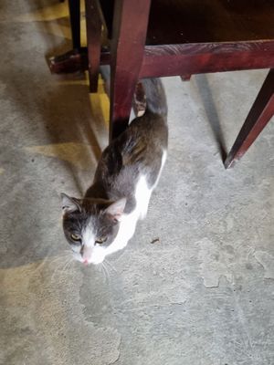  at Thong Dong Vegan Kitchen & Cafe in Lao Cai