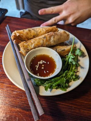 Fried spring rolls at Thong Dong Vegan Kitchen & Cafe in Lao Cai