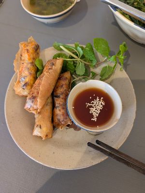 Spring rolls - fried at Thong Dong Vegan Kitchen & Cafe in Lao Cai