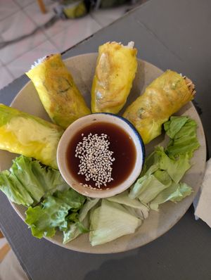 Mushroom summer rolls at Thong Dong Vegan Kitchen & Cafe in Lao Cai