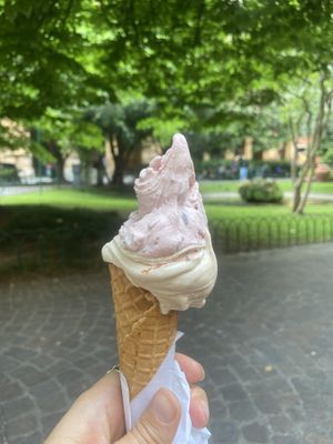 Eat it in the park right outside of the shop!   at Cremeria Cavour in Bologna