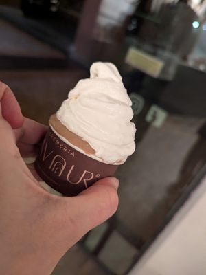 Coconut and gianduia. Very hot evening, so already starting to melt.  at Cremeria Cavour in Bologna