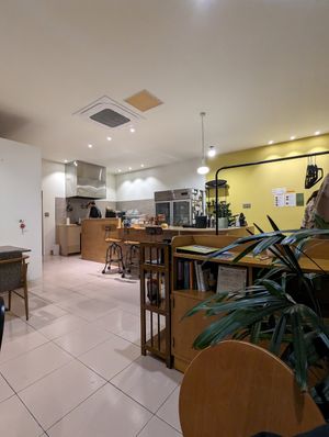  at CHEESYLAZY in Jeju