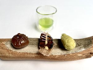 .  at Fusion19 in Mallorca