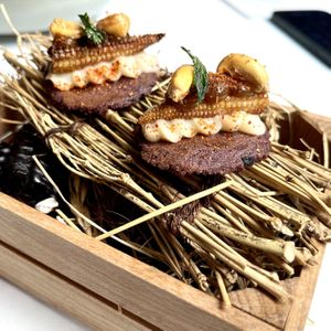 .  at Fusion19 in Mallorca