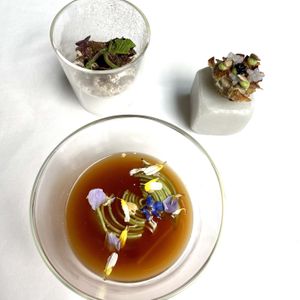   at Fusion19 in Mallorca