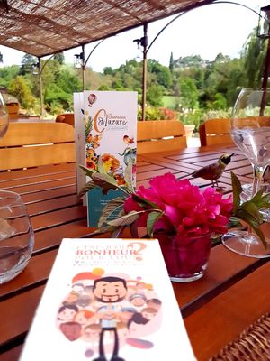 terrasse at La Campagne St Lazare Chambres & Spa - B&B in Forcalquier